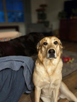 Tilly