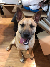Duke