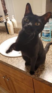 Luna