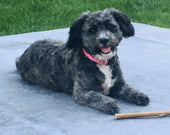 Maddy