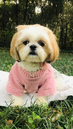 Ellie