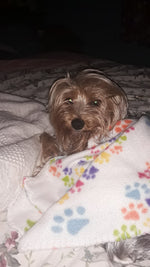 Minnie 