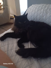 Fluffy