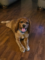 Graham