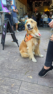Beau