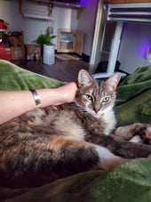 Sophie