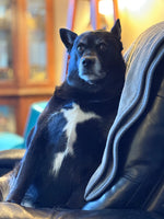 Missy