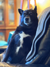 Missy