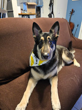 Loki