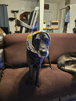 Zoey