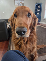 Charlie 