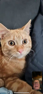 Loki