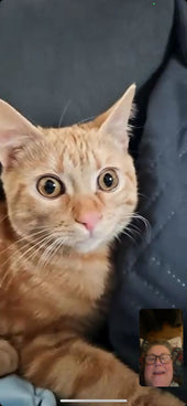 Loki