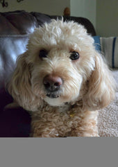 Emmie