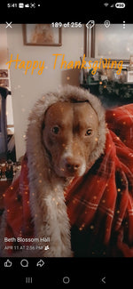 Sadie