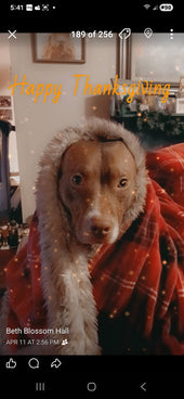 Sadie