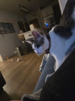 Marshmellow Riley-Binns 