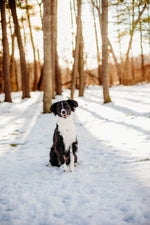 Murphy
