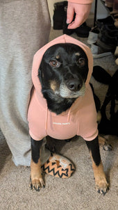 Dobby