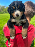 No name yet