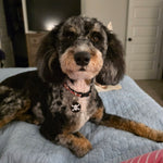 Charlie