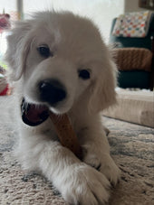 Bowie