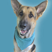 Tex