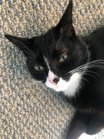 Fiona