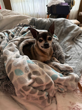Yoda