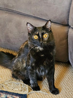 Rosie