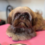 Milo