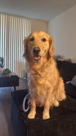 Nala Rose