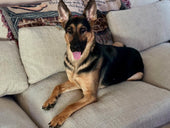 Kaia