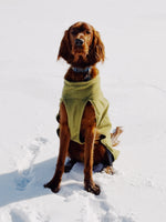 Remington 