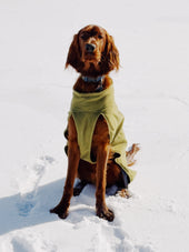 Remington 