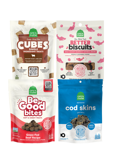Best Sellers Treats Bundle for Dogs
