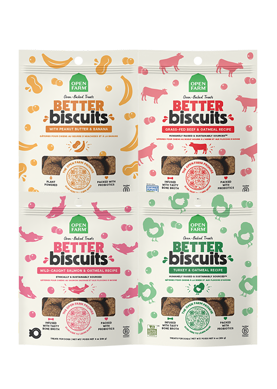 Better Biscuit Treats Variety Pack for Dogs by Open Farm