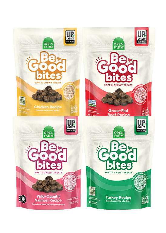 Be Good Bites Treats Variety Pack for Dogs by Open Farm