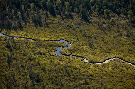 Blandin Native Hardwoods Conservation, USA