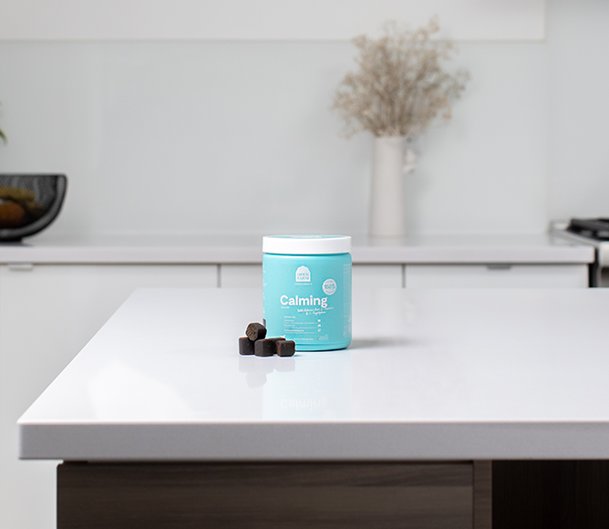 Calming Health Supplement Chews for Dogs