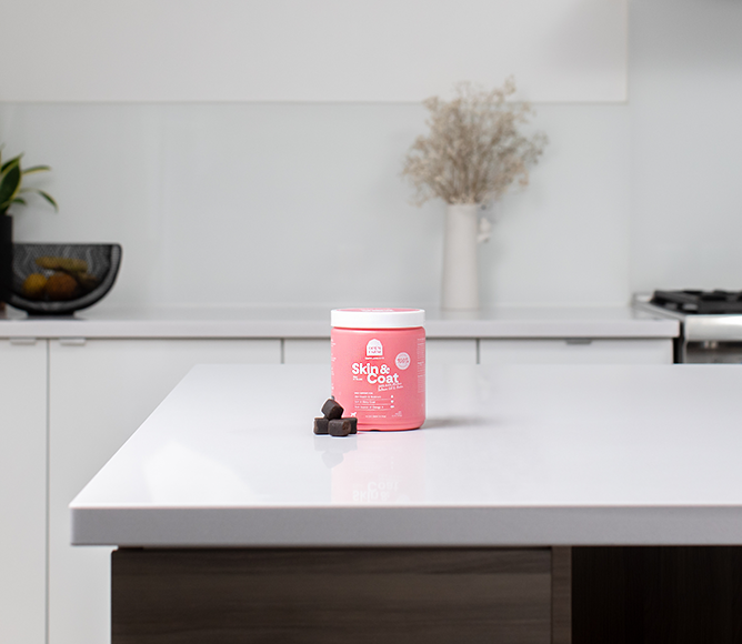 Skin & Coat Food Supplement Chews for Dogs