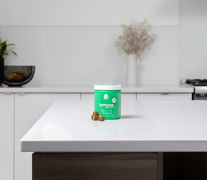 Immune Health Supplement Chews for Dogs