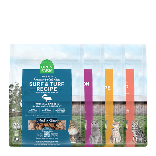 Freeze Dried Raw Variety Pack for Cats by Open Farm