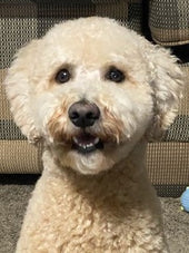 Cooper