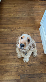 Copper