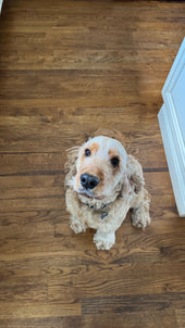 Copper