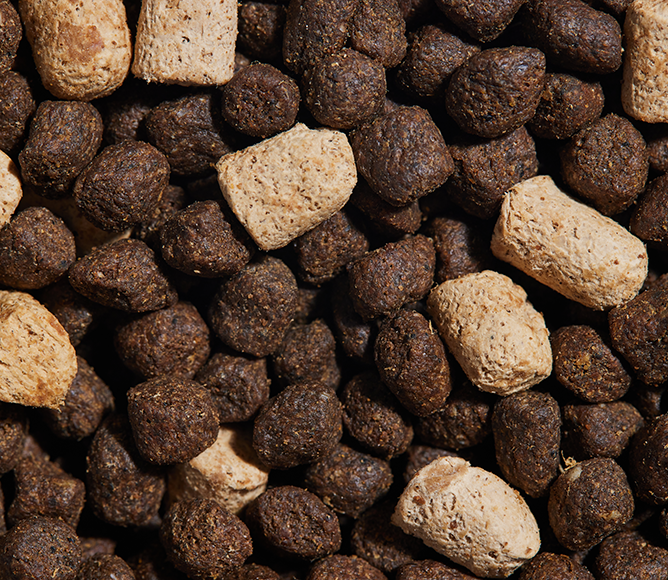 RawMix Great Plains Grain-Free Dog Kibble – Open Farm