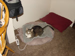 Kitty katty