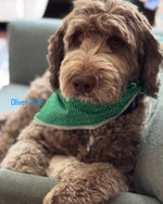 Oliver