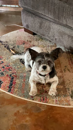 Nellie Bell